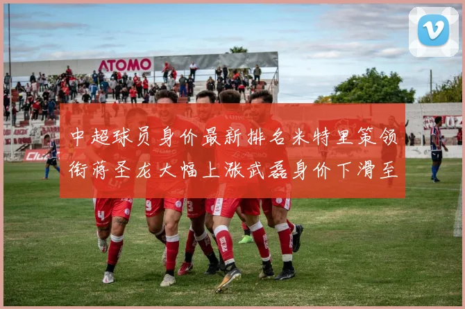 中超球员身价最新排名米特里策领衔蒋圣龙大幅上涨武磊身价下滑至50万